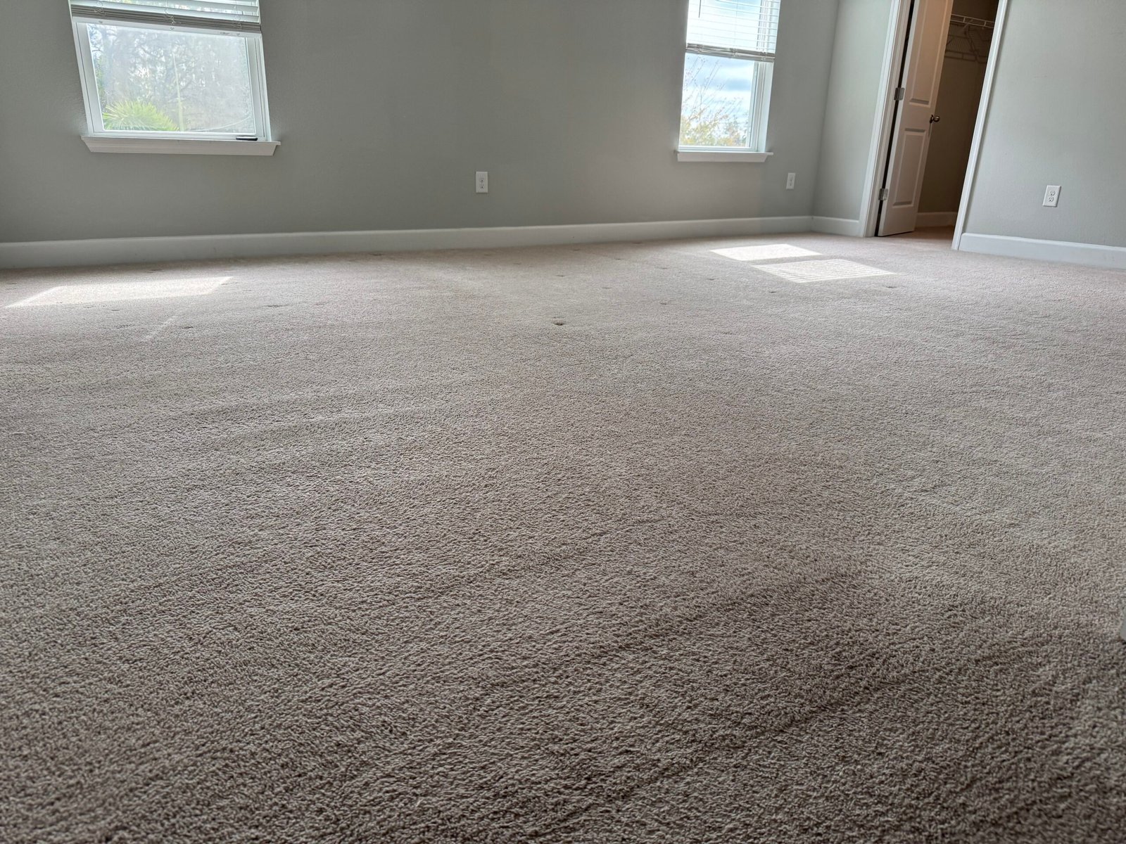Residential carpet deep cleaning in a Bradenton living room