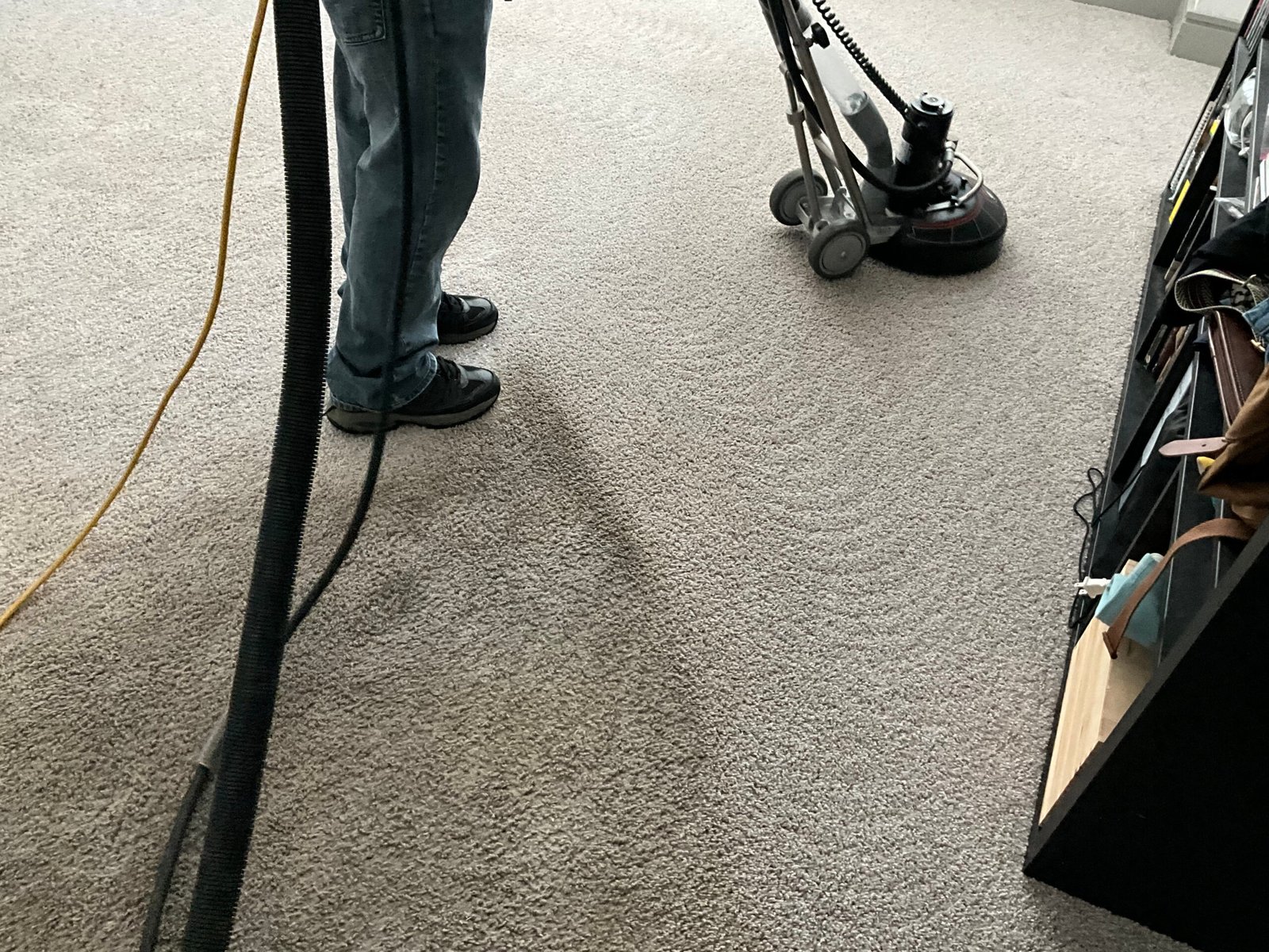 Freshly cleaned living-room carpet in a Bradenton, FL home