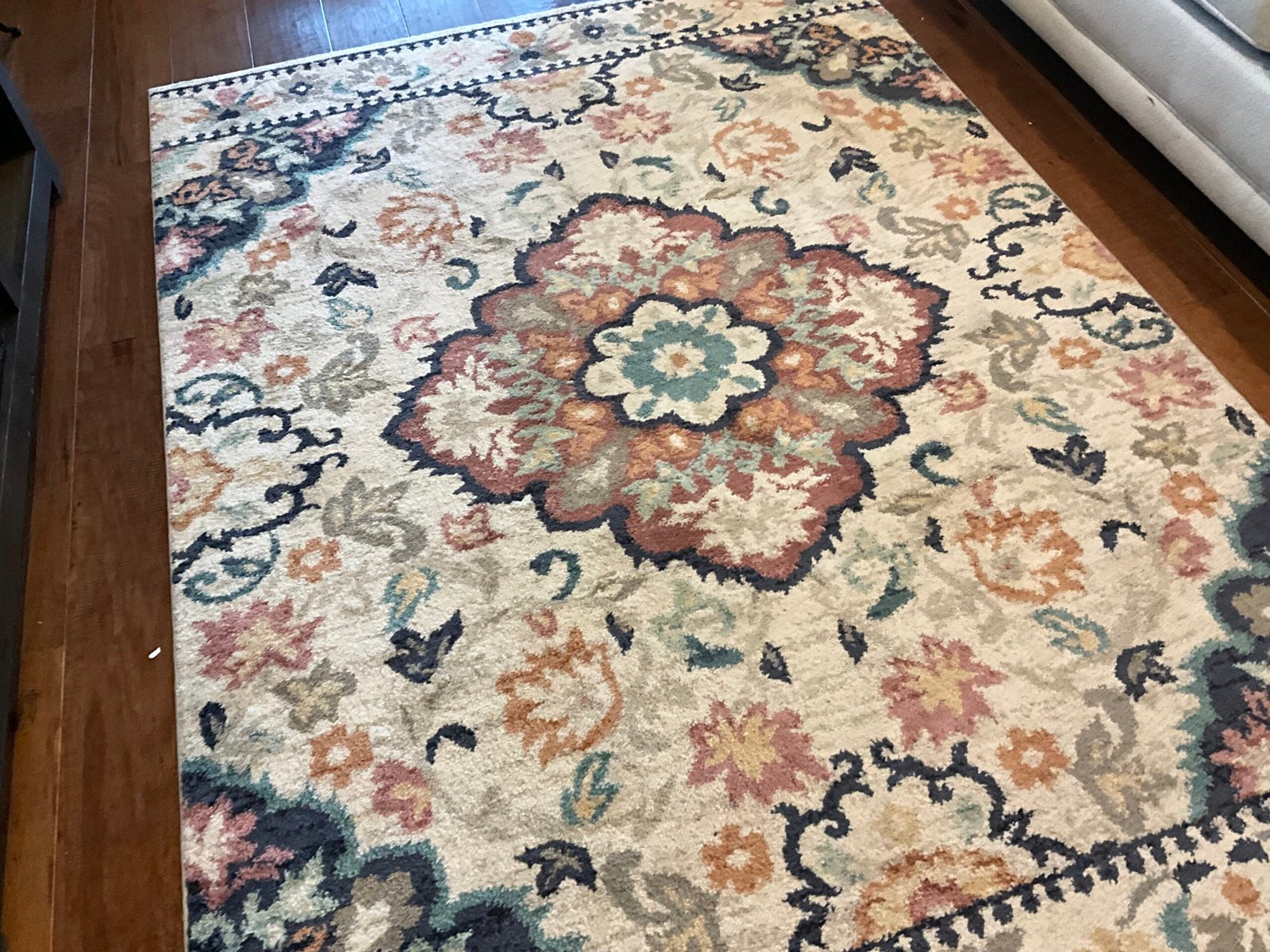 Area rug cleaning service in Bradenton by Oh Limpio