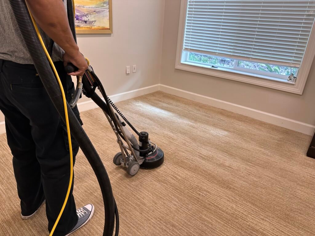 Freshly cleaned carpet in a bright Bradenton living room