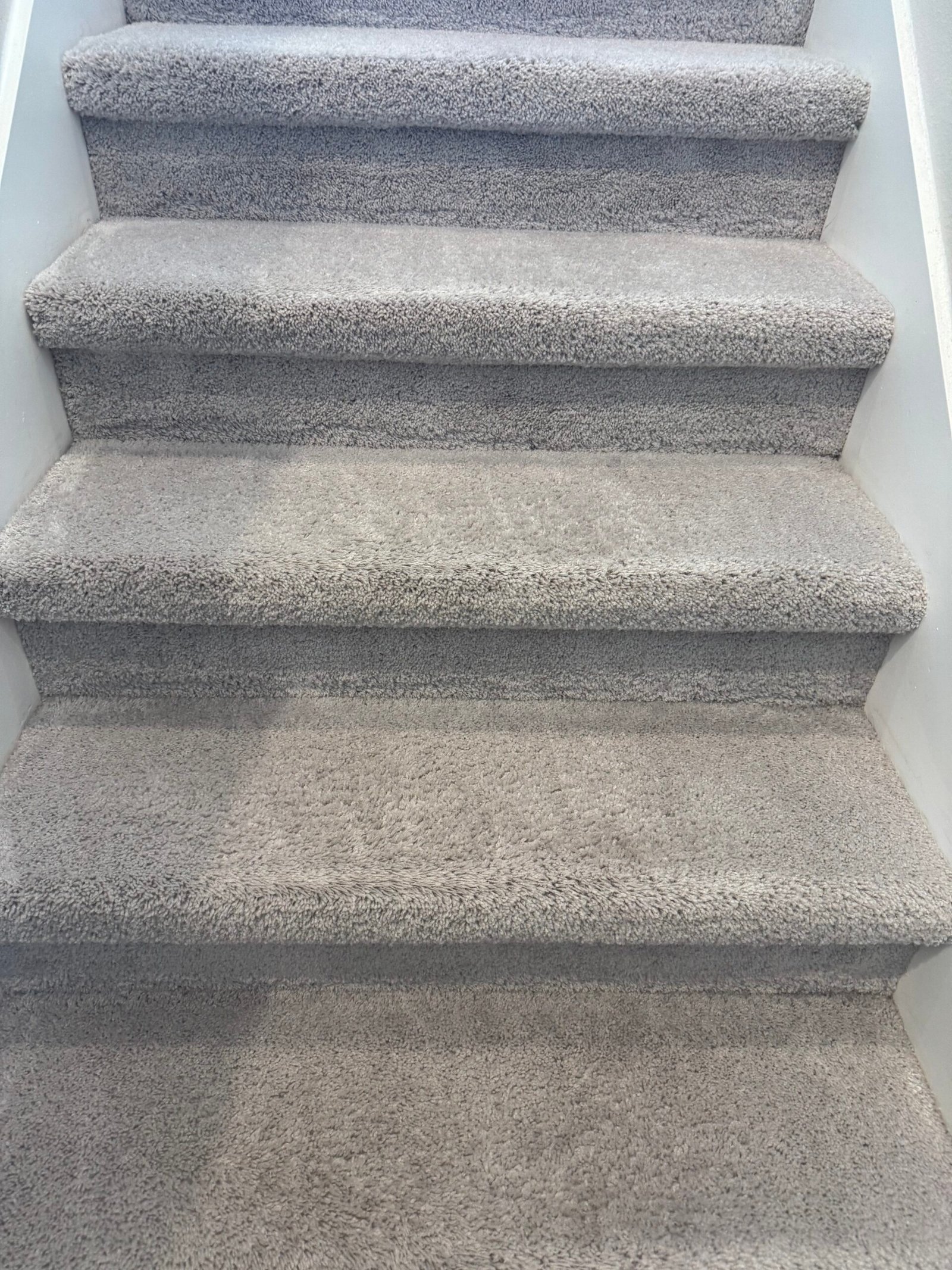 Cleaned carpeted stairs and sofa upholstery at a Lakewood Ranch home