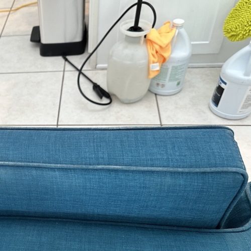 Upholstery Cleaning Bradenton FL